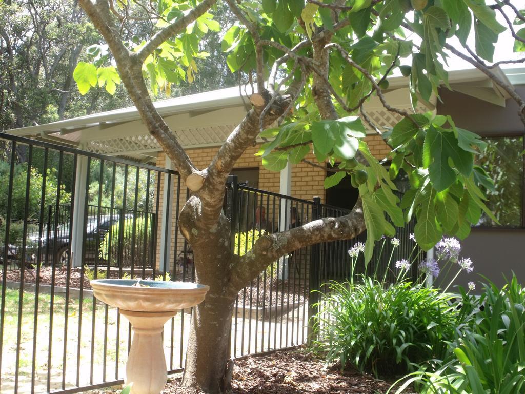 Margaret House Apartment Margaret River Room photo